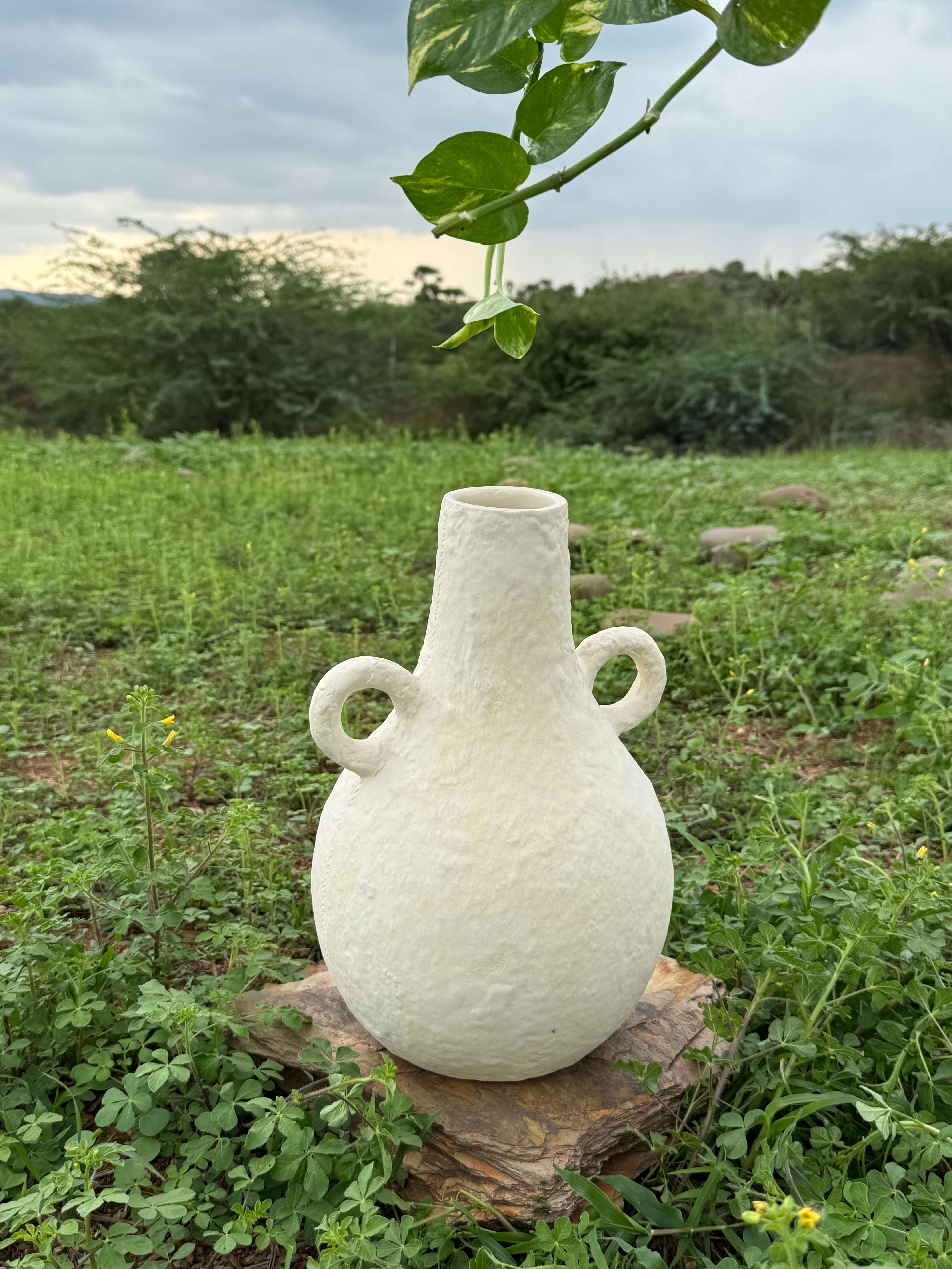 Amphora Form Ceramic Vase