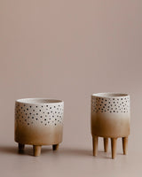 ceramic plant pots
