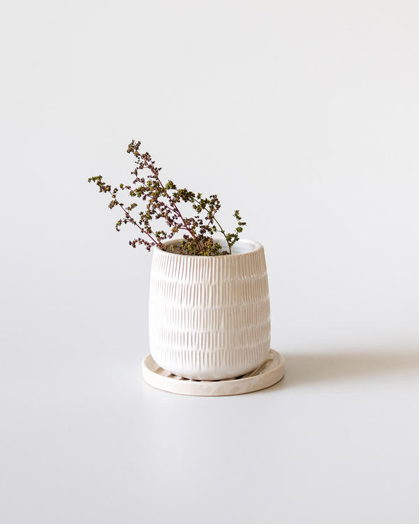 Designer pots for plants by Kolus Home